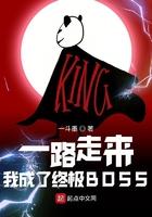 一路走来，我成了终极BOSS