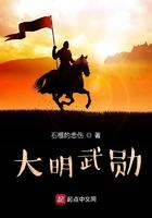 大明武勋