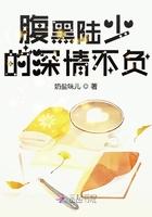 腹黑陆少的深情不负