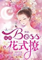 快穿：反派Boss，花式撩