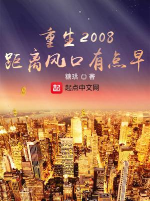 重生2008，距离风口有点早