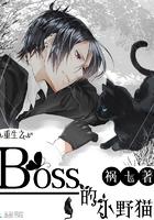 重生之boss的小野猫