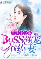 重生十七岁：BOSS强宠小药妻