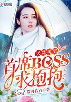 天降萌宝：首席BOSS求抱抱