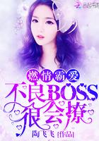 燃情霸爱：不良BOSS，很会撩