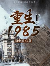 重生1985