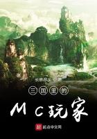 三国里的MC玩家