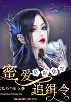 星际快穿：蜜爱追缉令