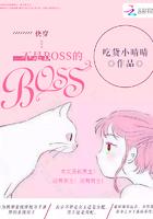 快穿：不是BOSS的BOOS