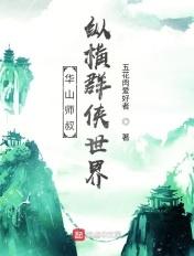 华山师叔，纵横群侠世界