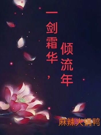 一剑霜华，倾流年